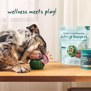 Woof Pupsicle Pops Allergy & Immunity